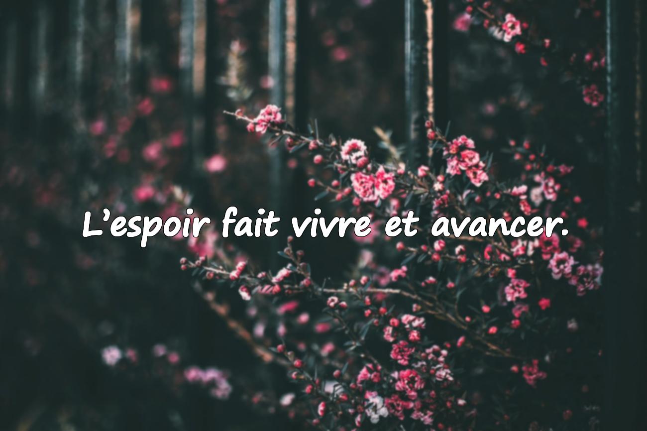 Citations sur l’Espoir