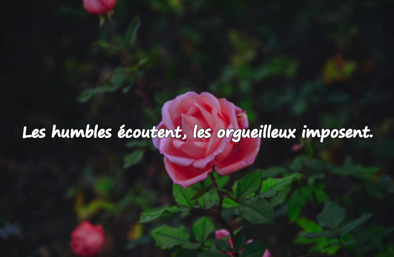 Citations sur l’Humilité