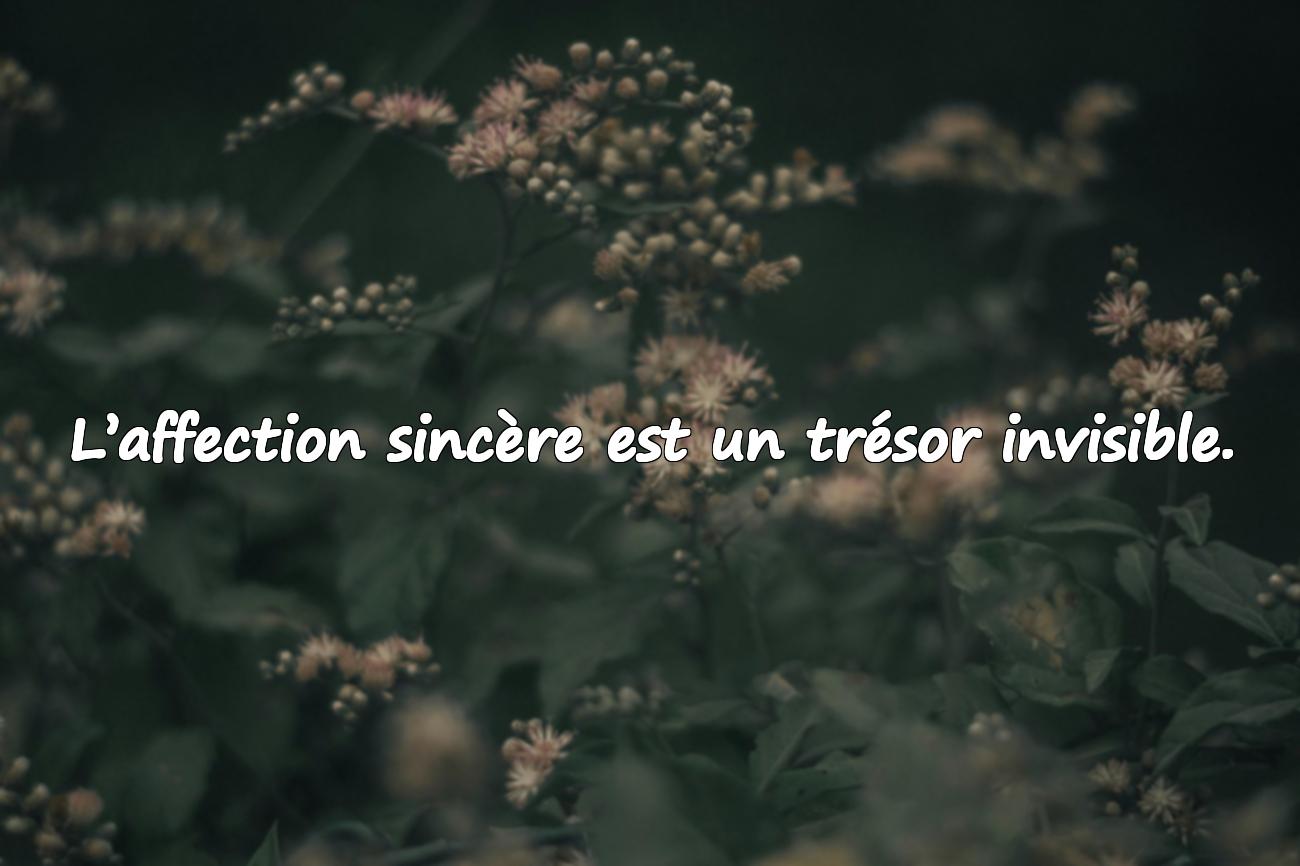 Citations Touchantes