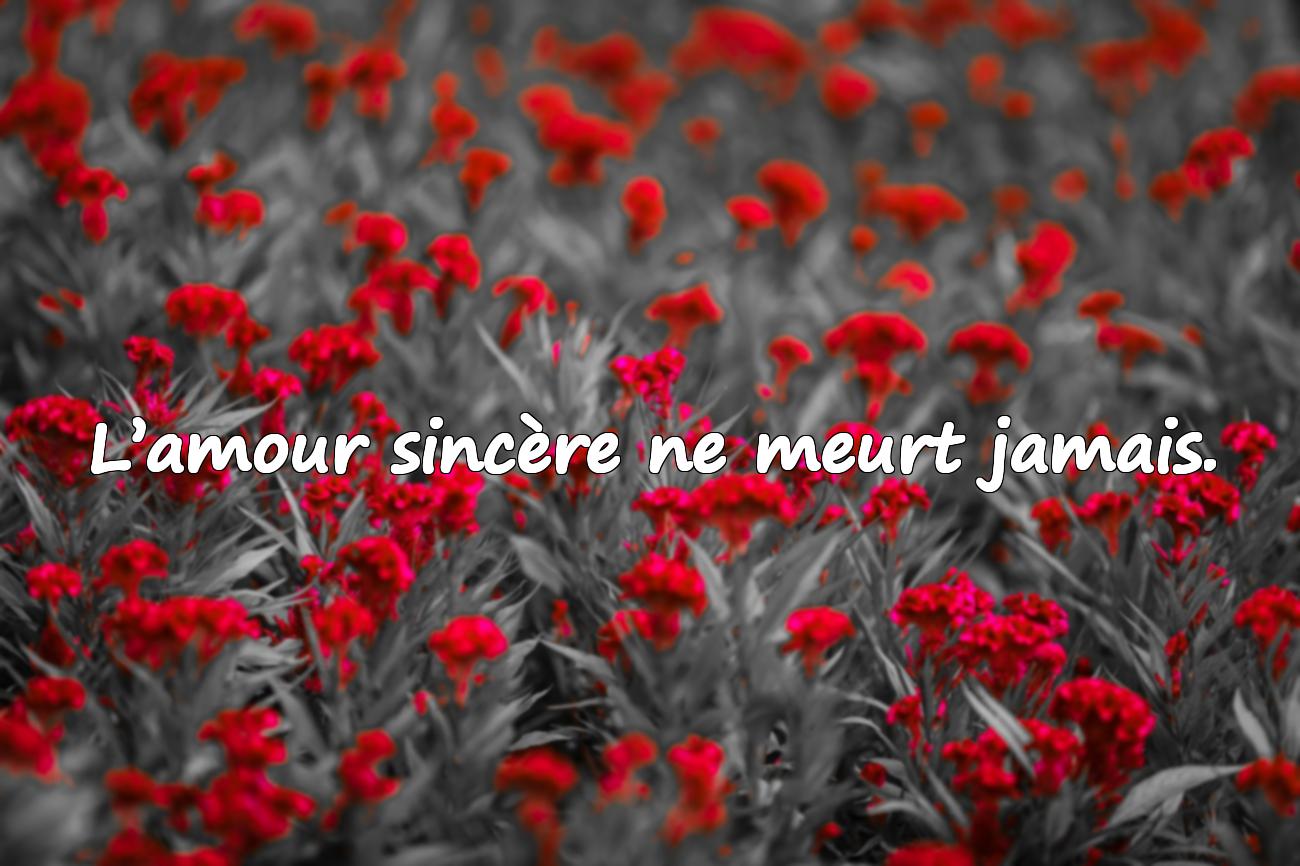 Citations Touchantes