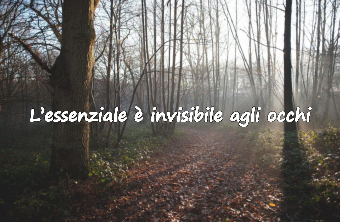 citazioni il piccolo principe