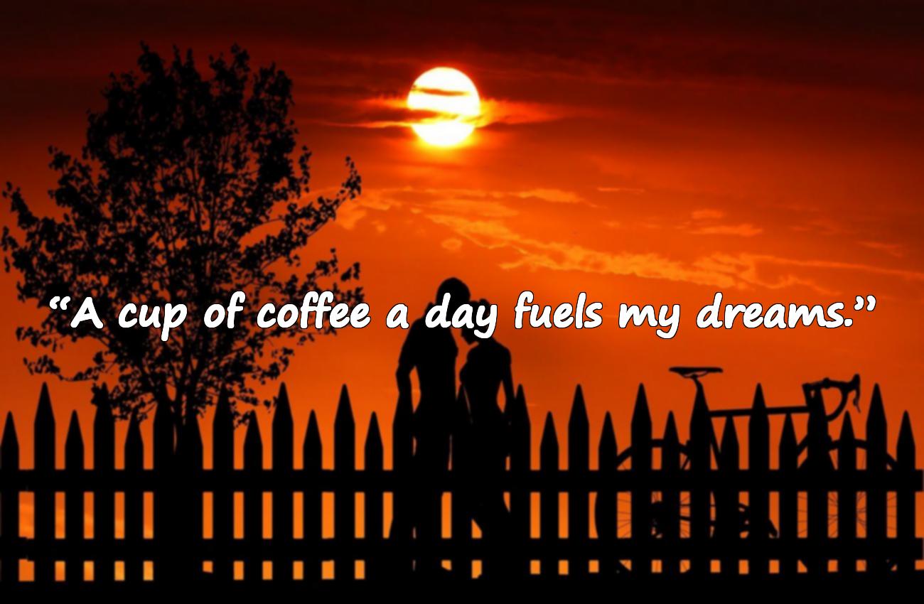 coffee a day quote