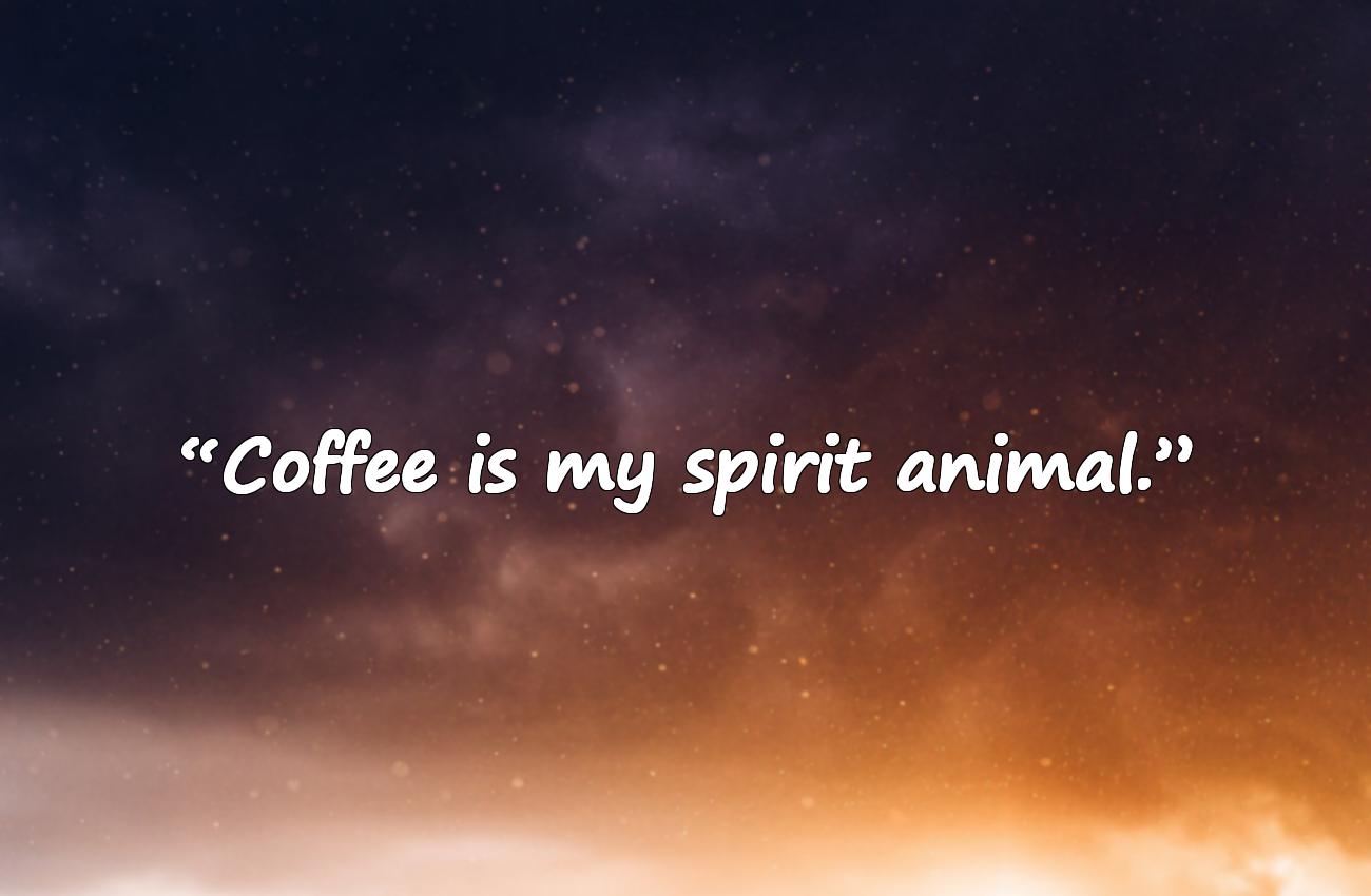 coffee sayings funny