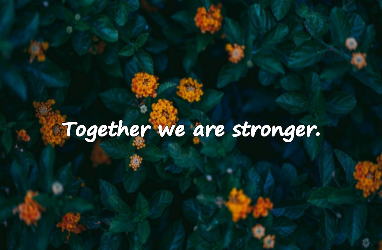 collaboration quotes