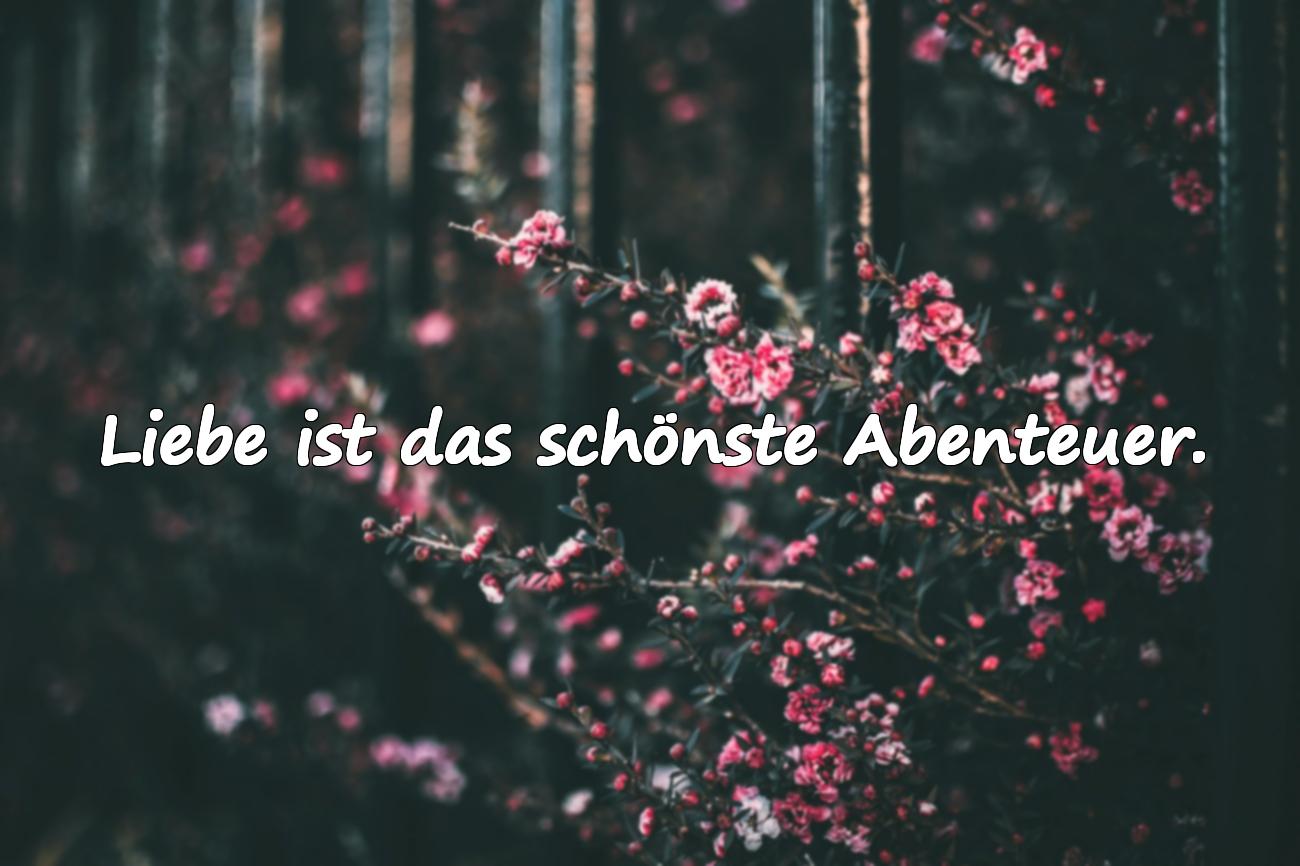 coole hochzeitssprüche