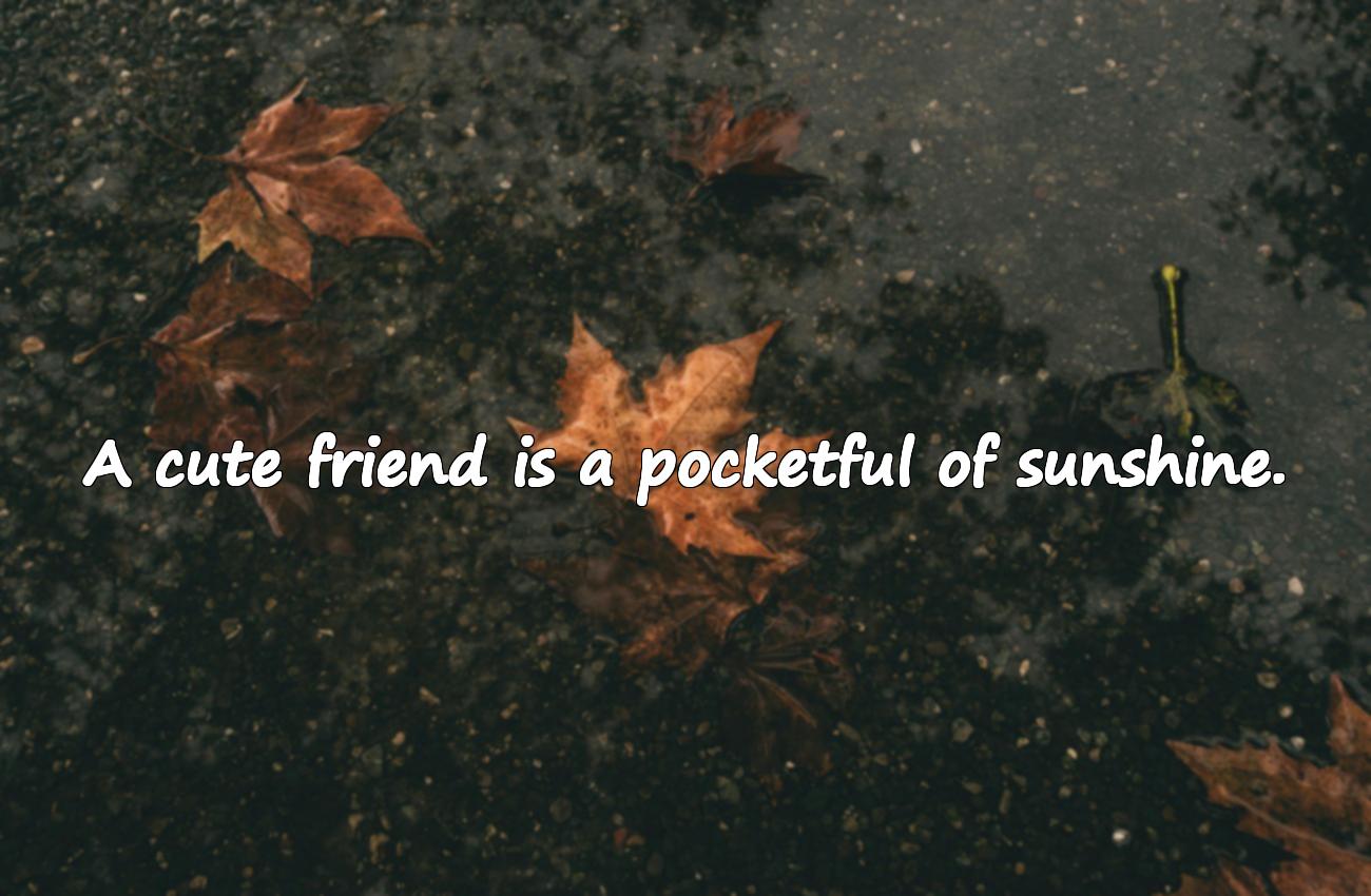 cute friendship quotes