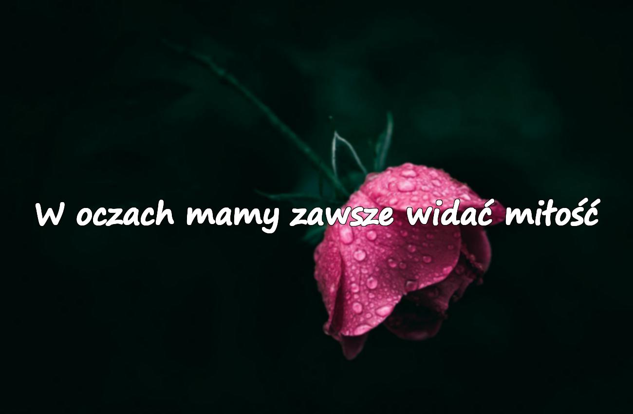 cytat dla mamy