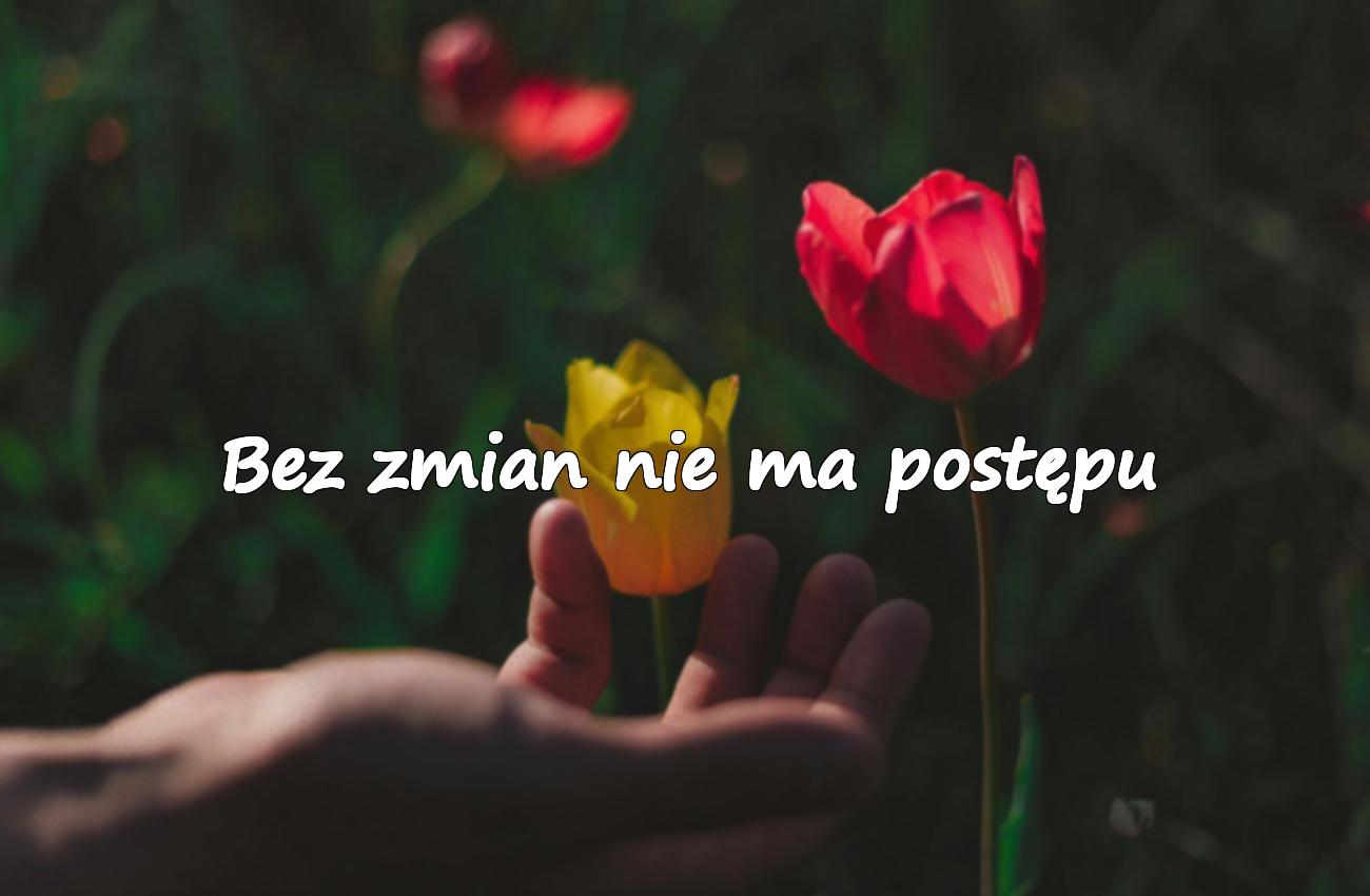 cytat o zmianach