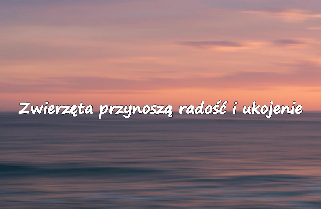 cytat o zwierzętach