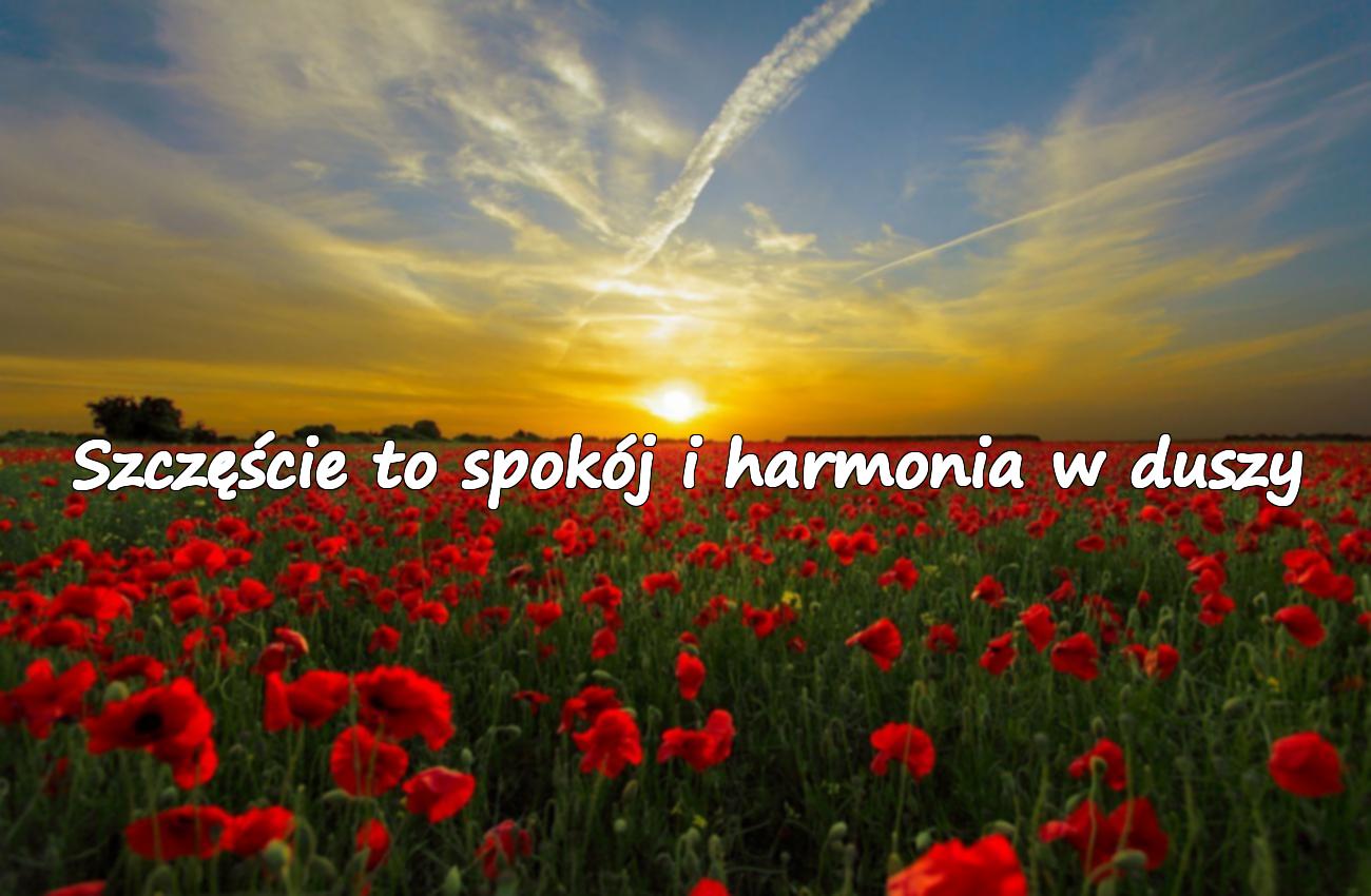 cytaty na szczęście