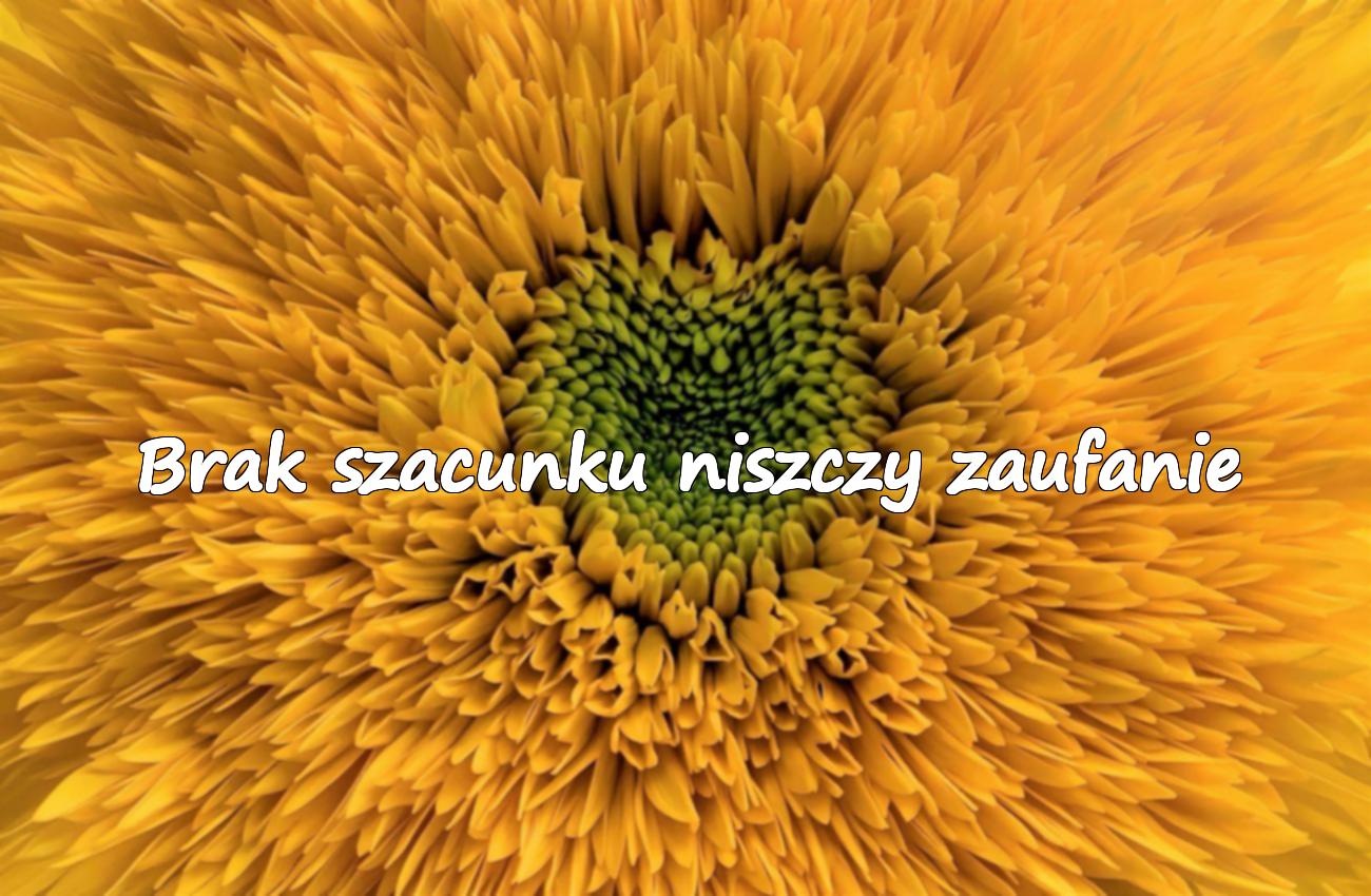 cytaty o braku szacunku