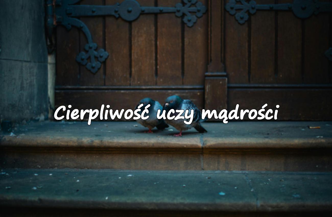 cytaty o cierpliwości