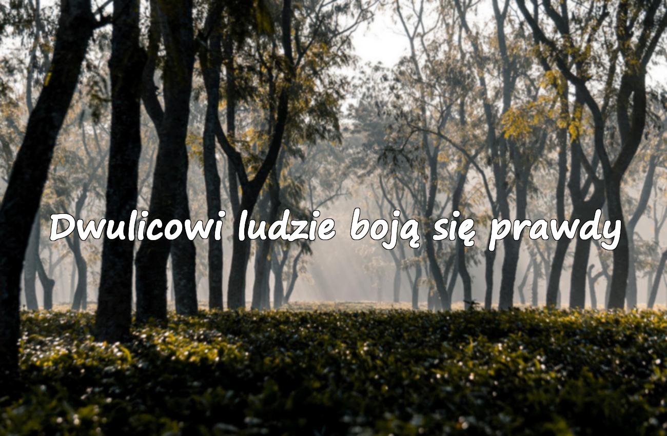 cytaty o dwulicowych ludziach