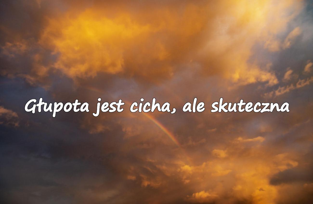 cytaty o głupocie ludzkiej