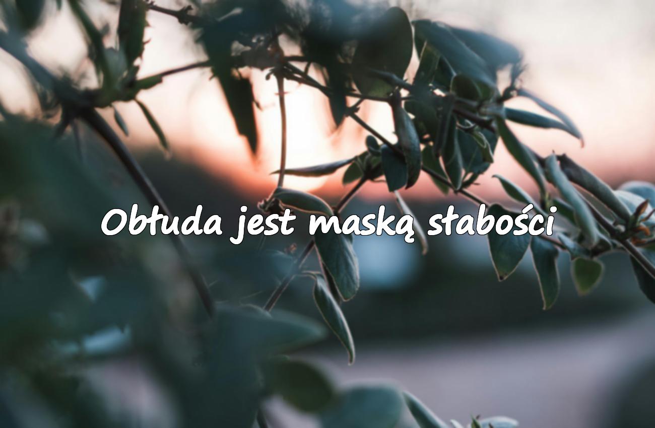 cytaty o kłamstwie i obłudzie