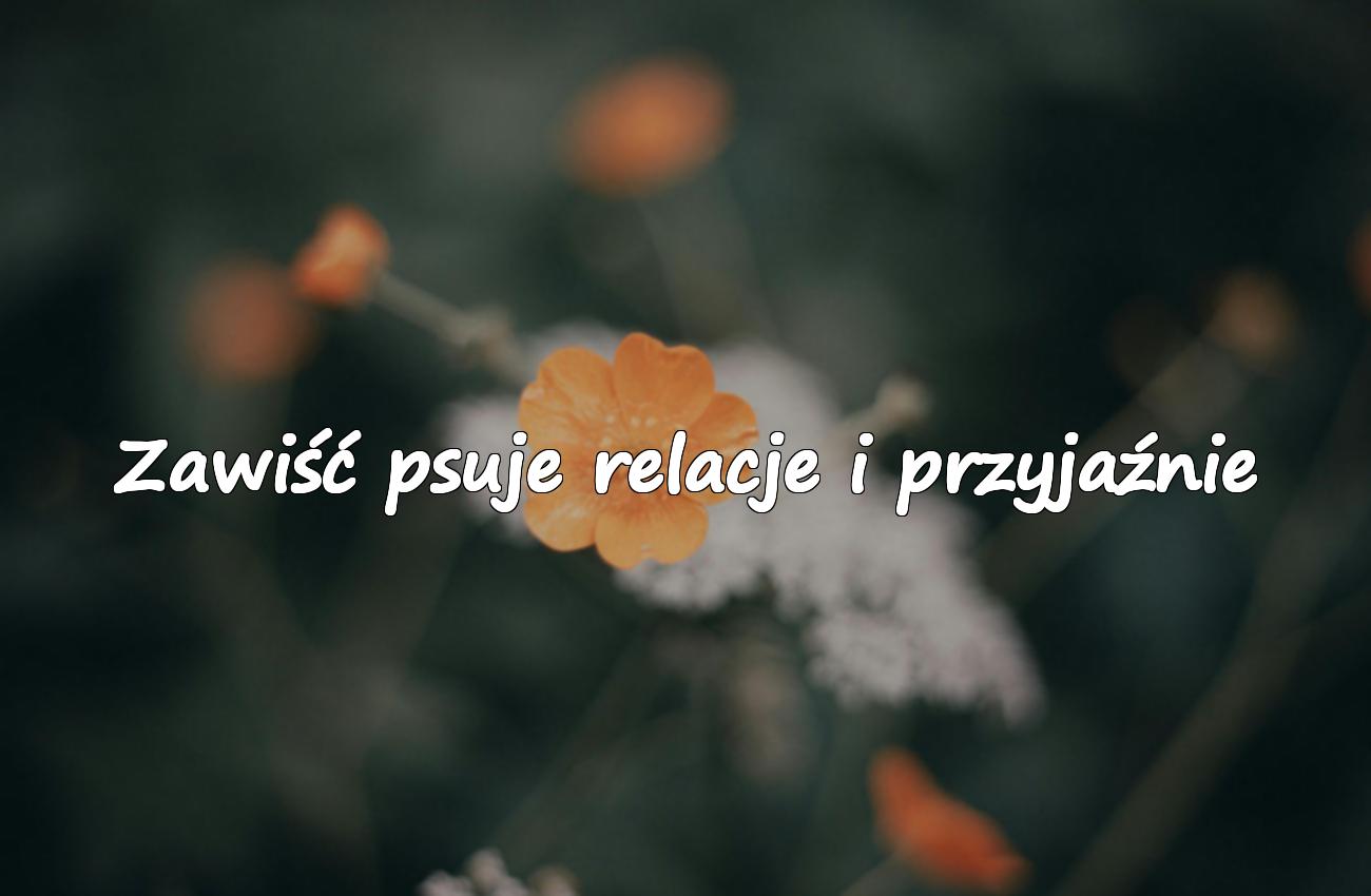 cytaty o ludziach zawistnych