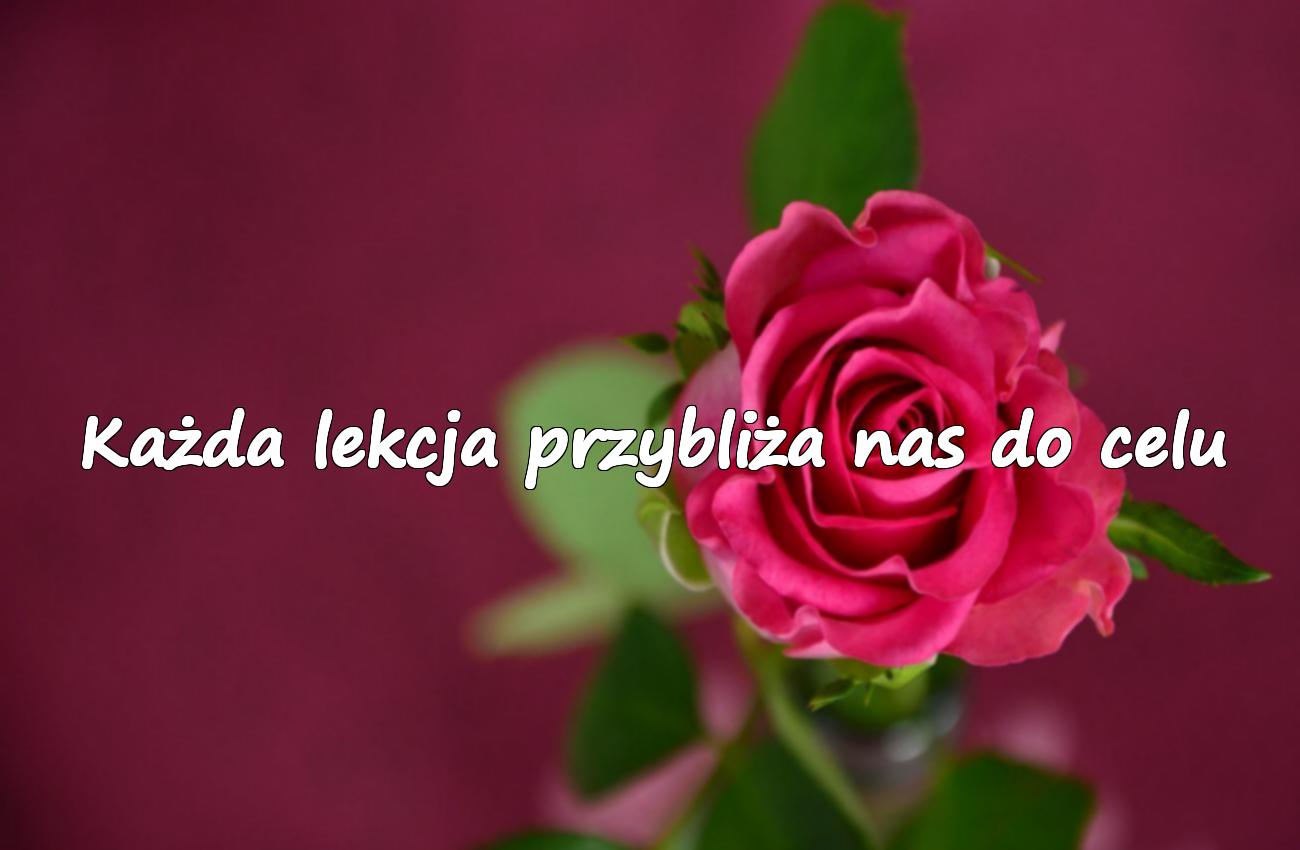 cytaty o nauce i rozwoju