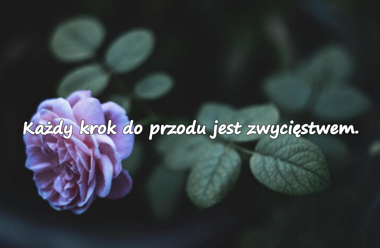 Cytaty o niepełnosprawności