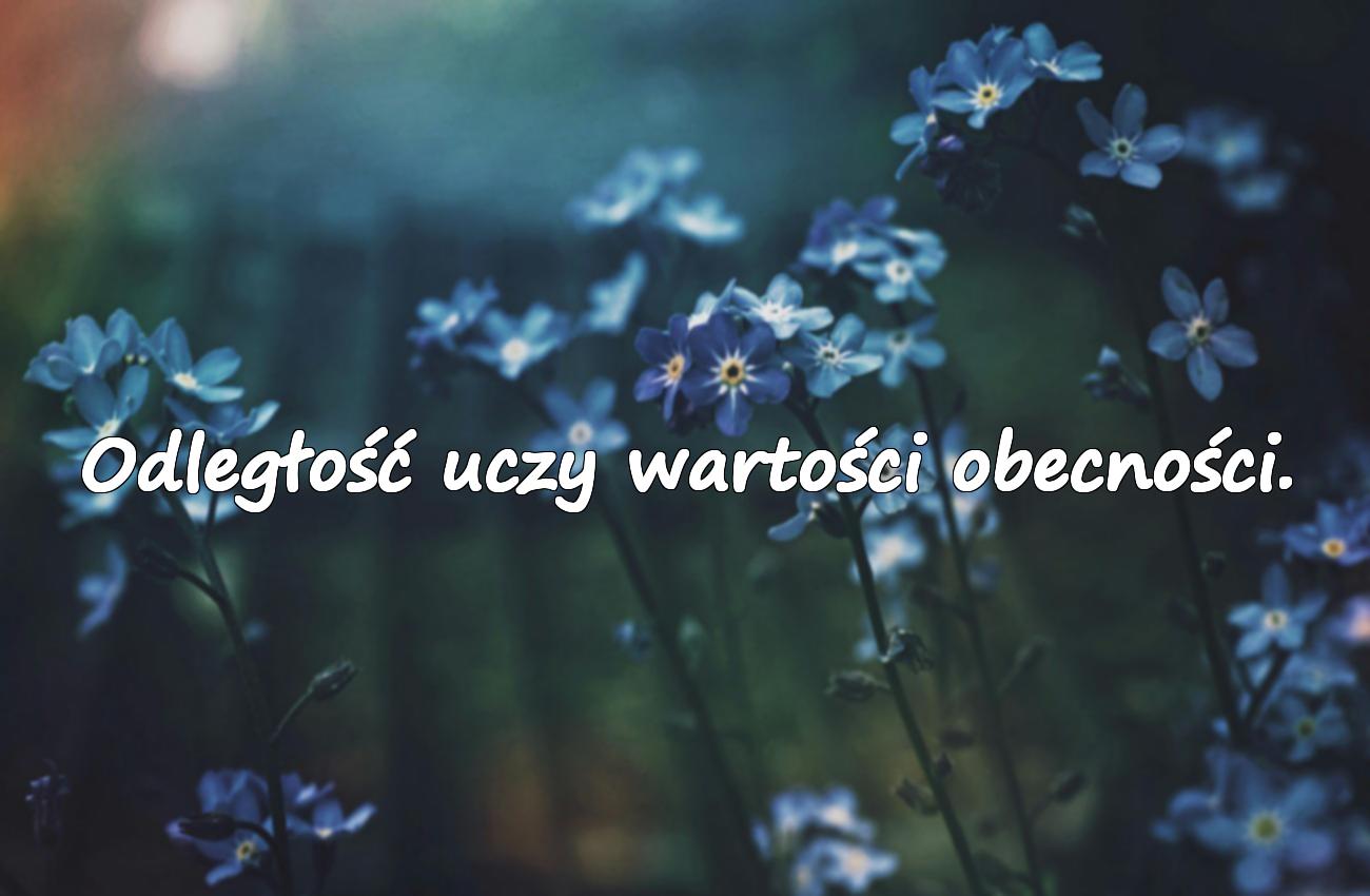 Cytaty o Odległościach