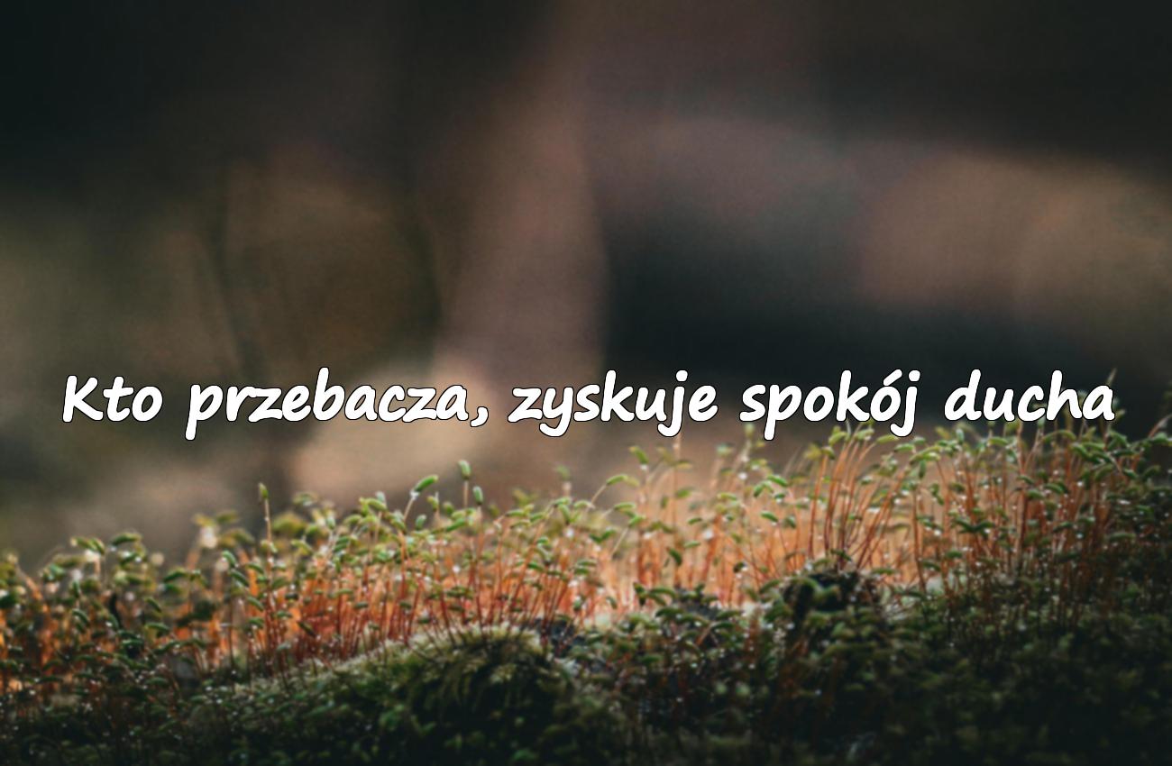 cytaty o przebaczeniu