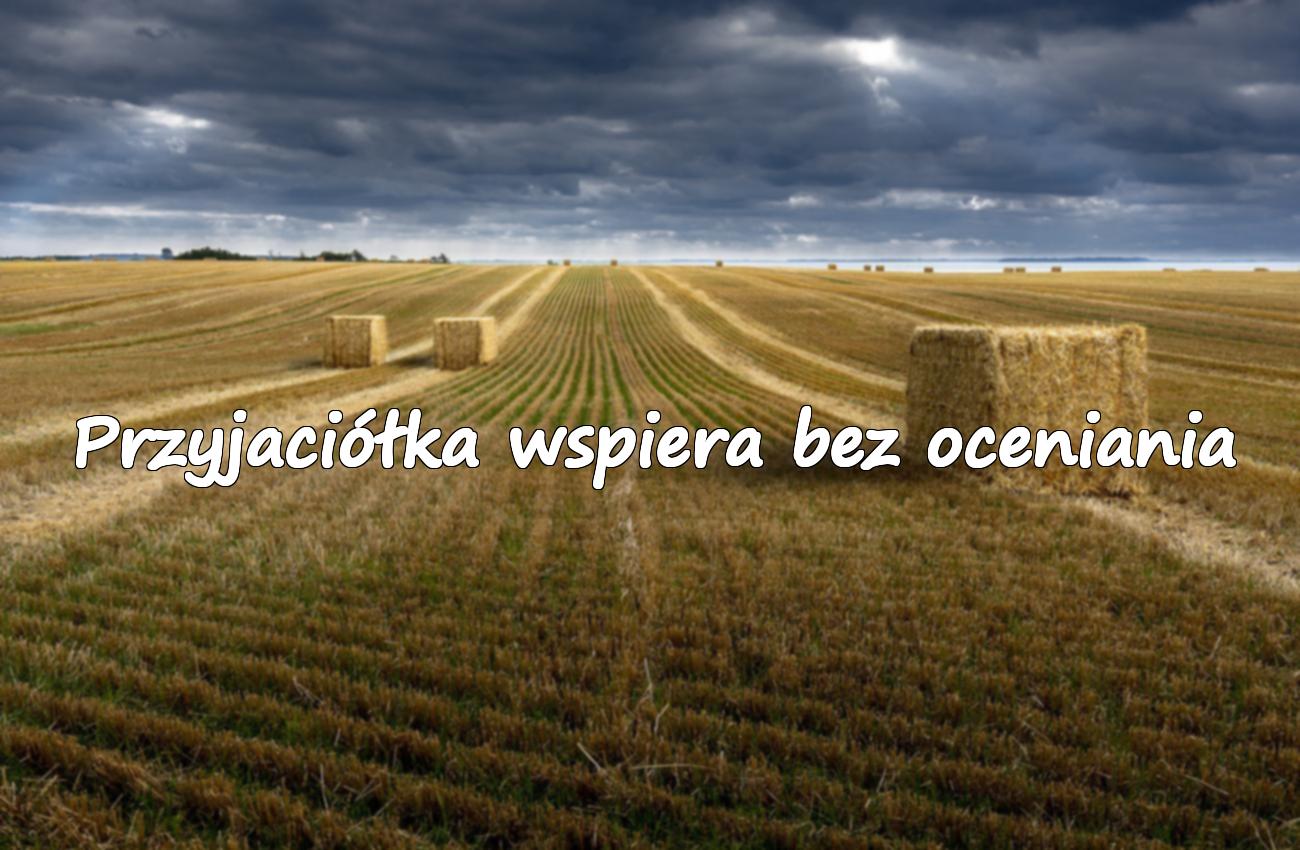 cytaty o przyjaciółce