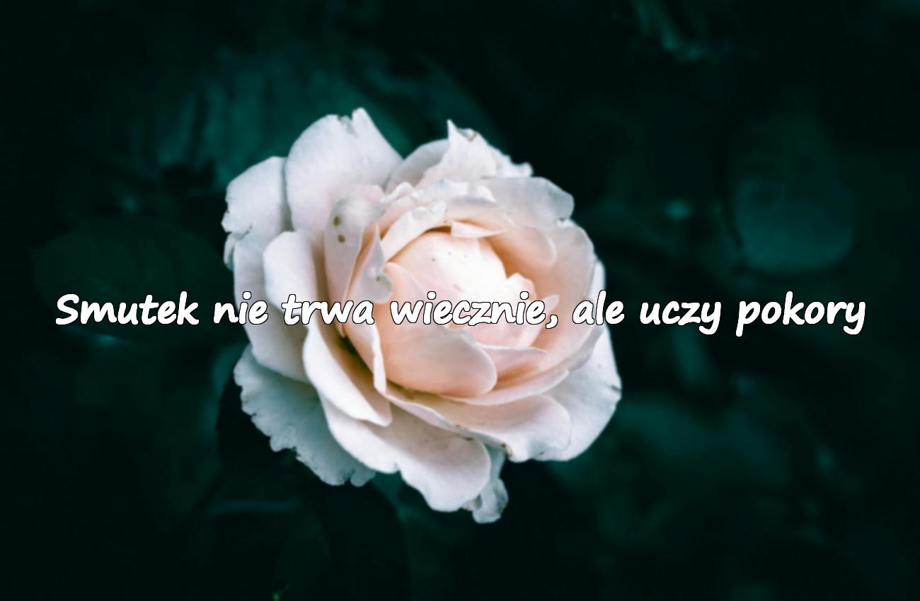 cytaty o smutku i rozczarowaniu