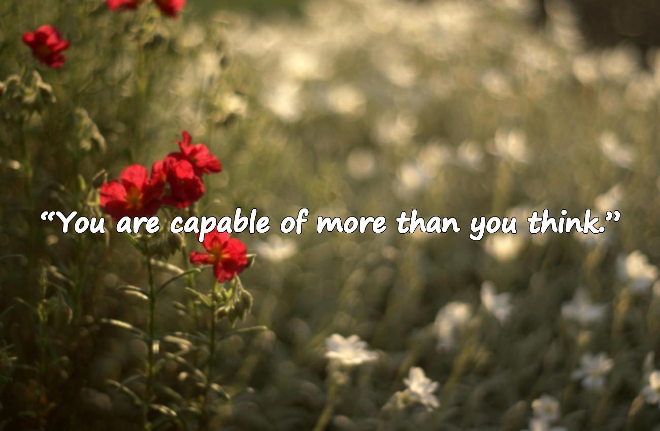 daily motivational quotes