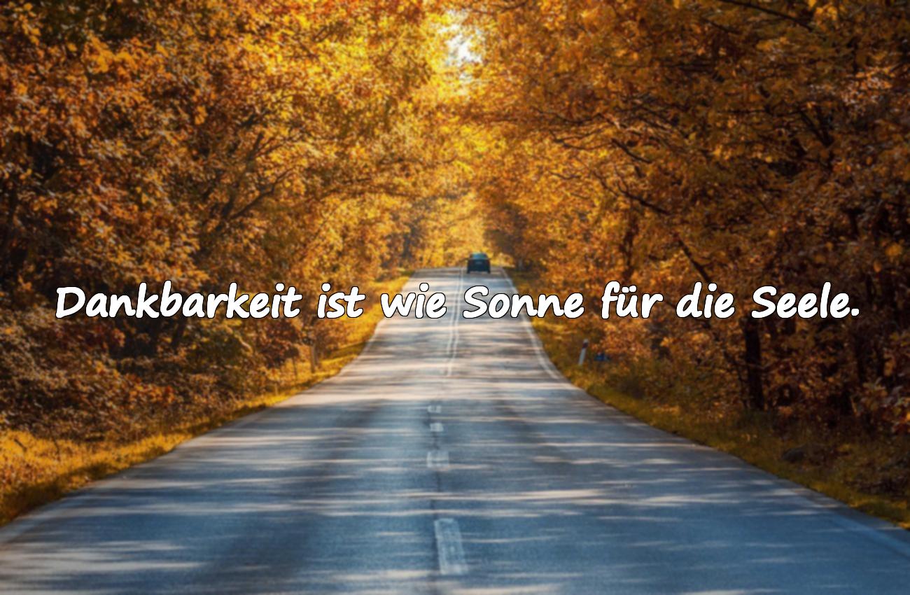 dankbar sprüche