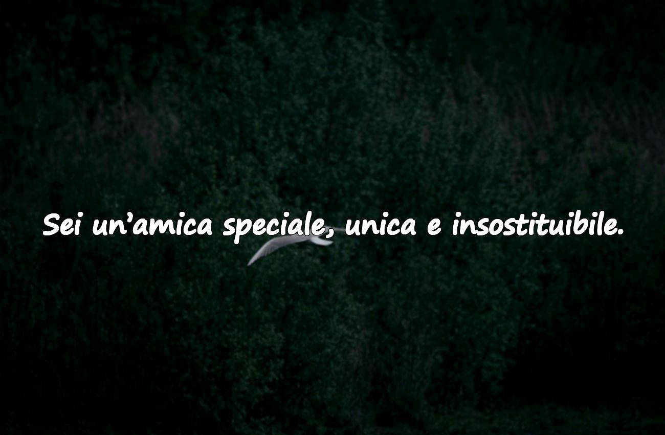 dedica amicizia