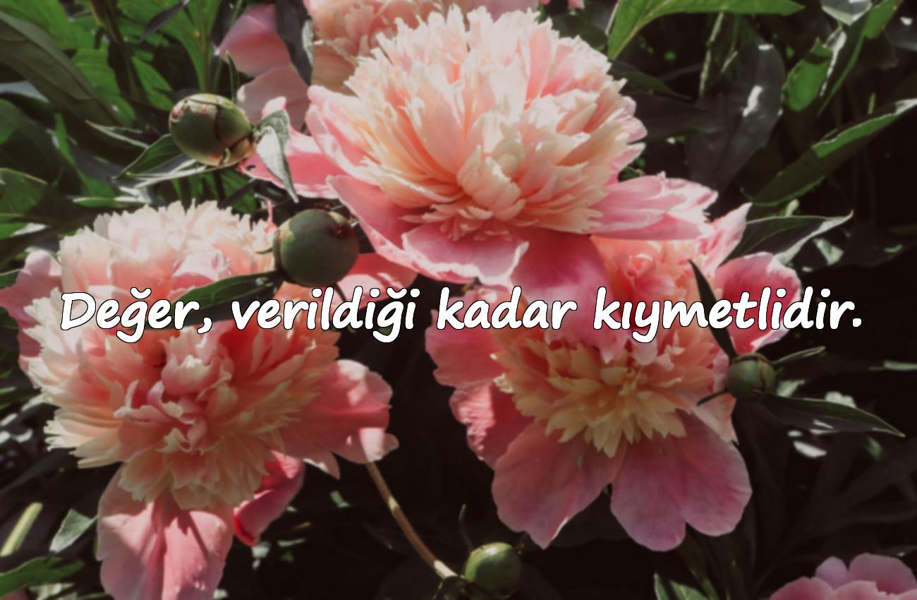 değer ile ilgili sözler