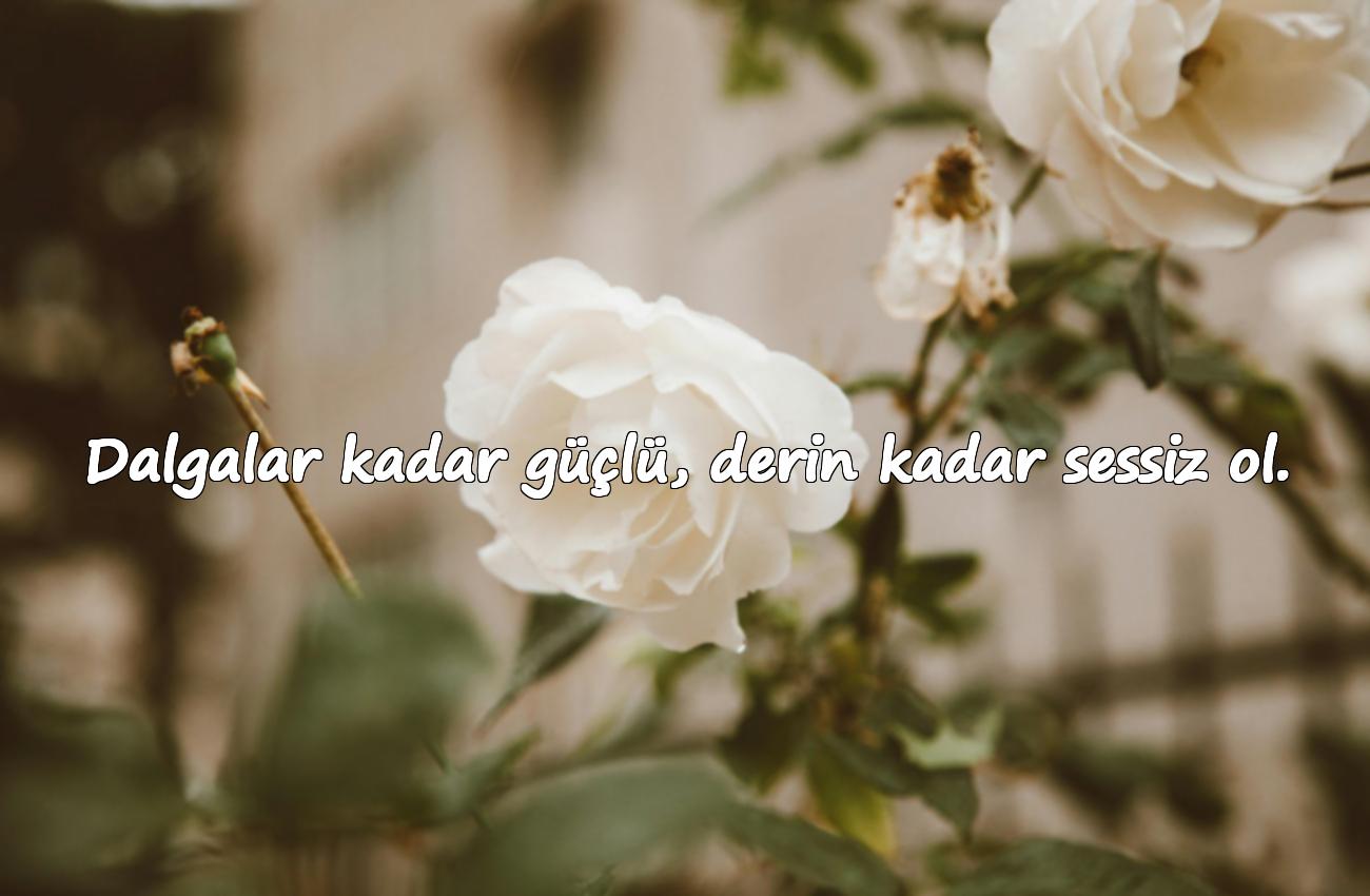 deniz ile ilgili sözler