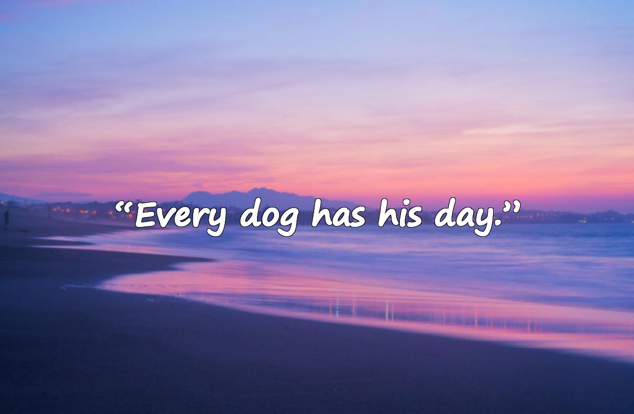 dog quotes