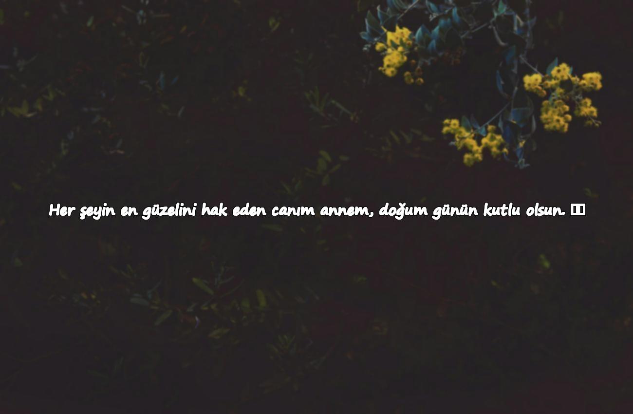 doğum günü mesajı anneye