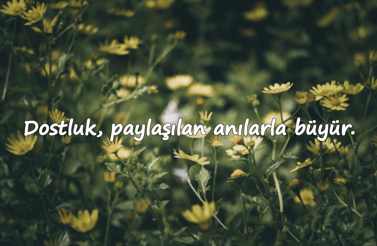dost ile ilgili sözler