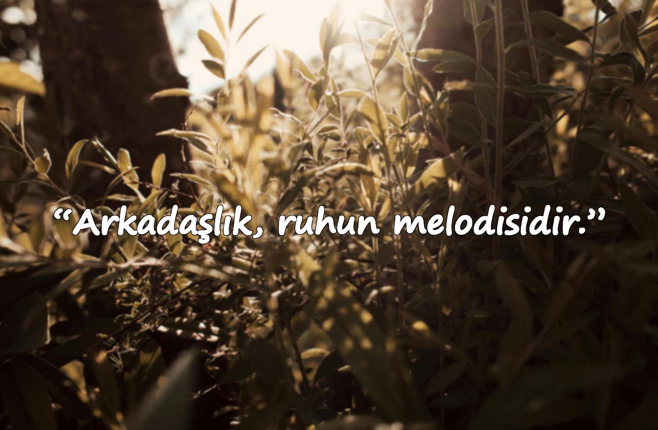 dost sözleri