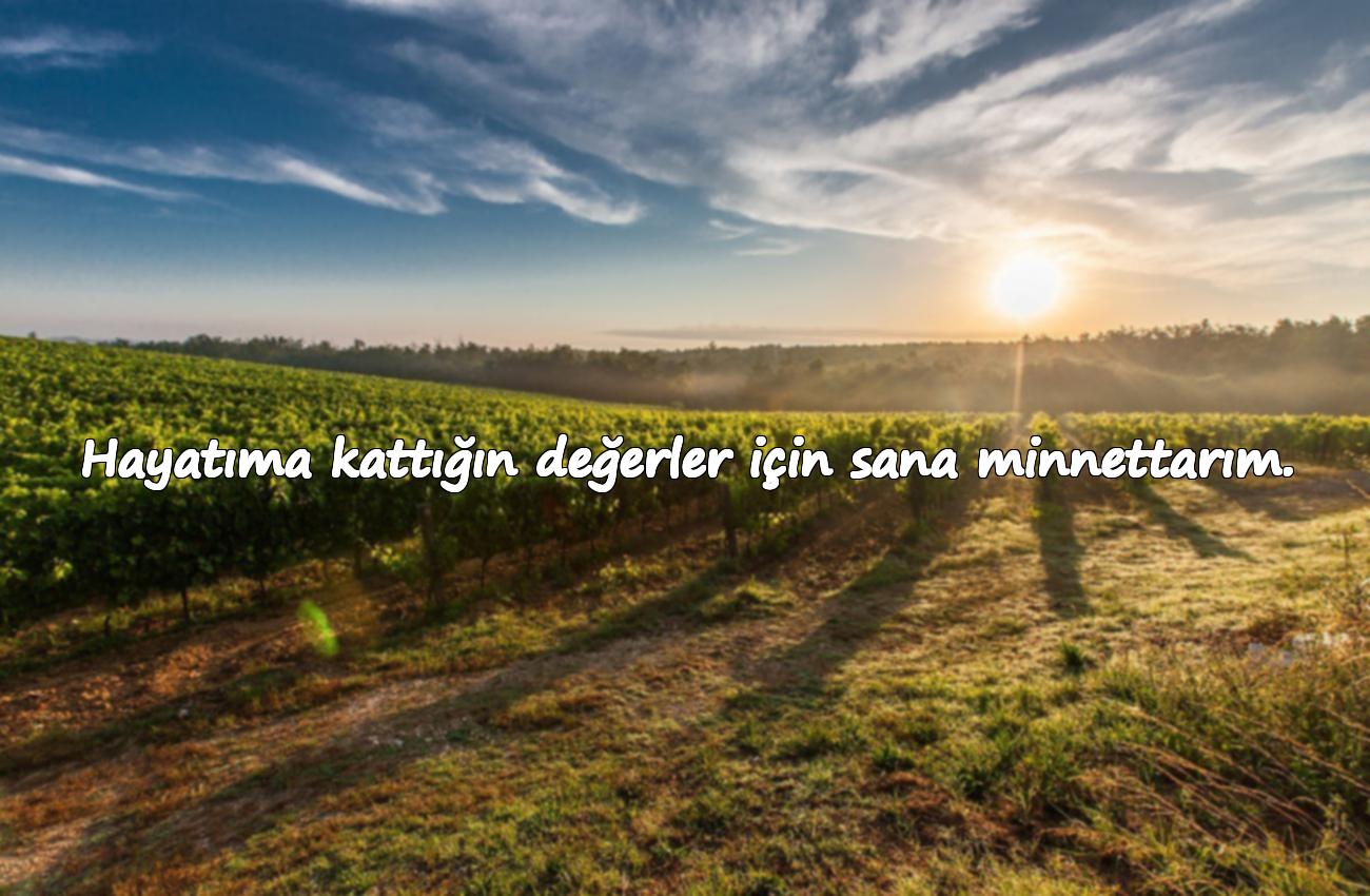 dostlara teşekkür mesajı