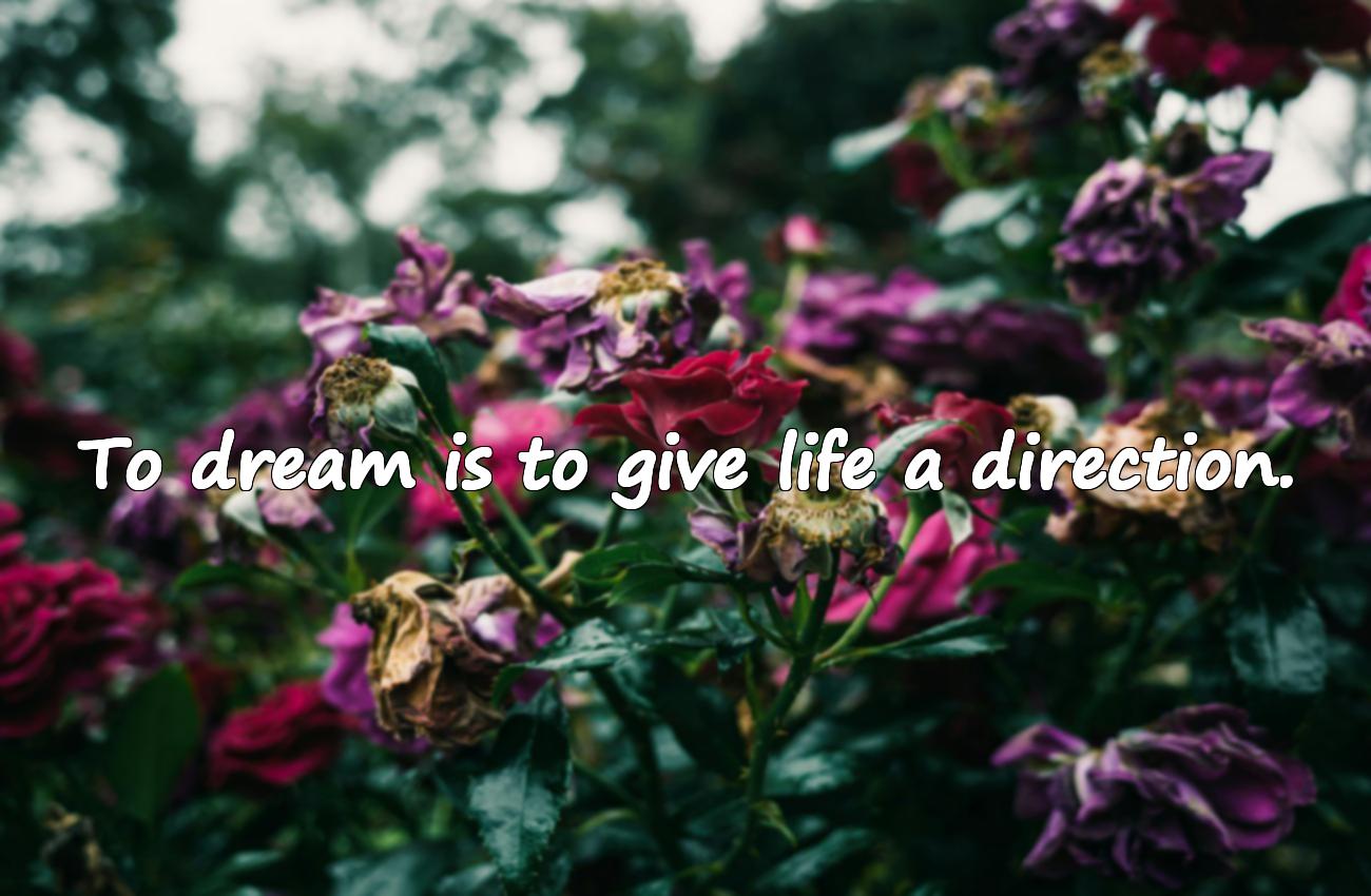 Dream Inspirational Quotes