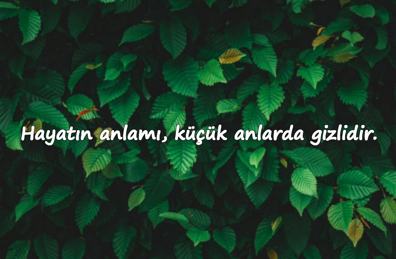 durum sözleri anlamlı