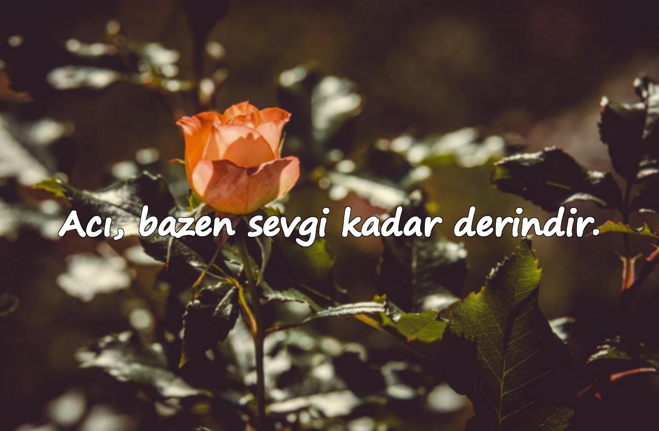 duygusal acı sözler