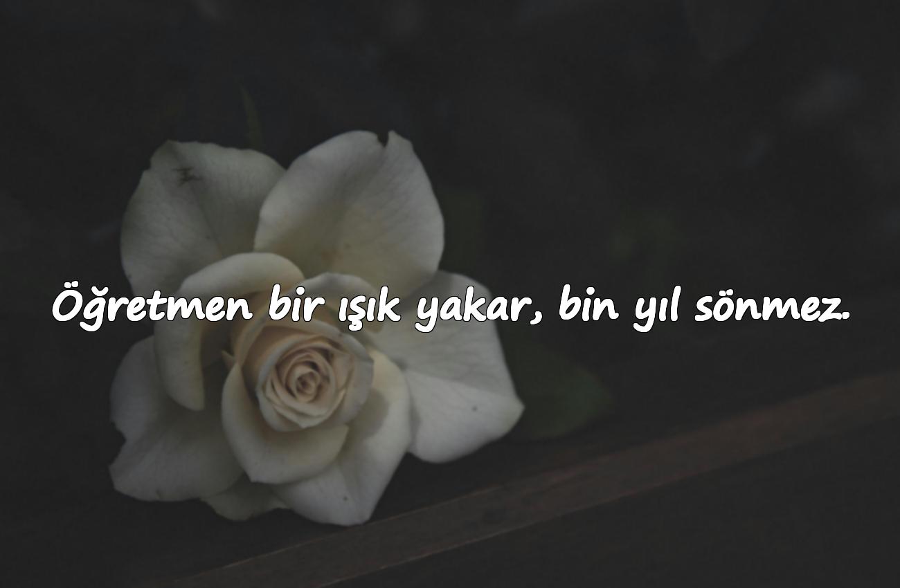 eğitim ile ilgili sözler