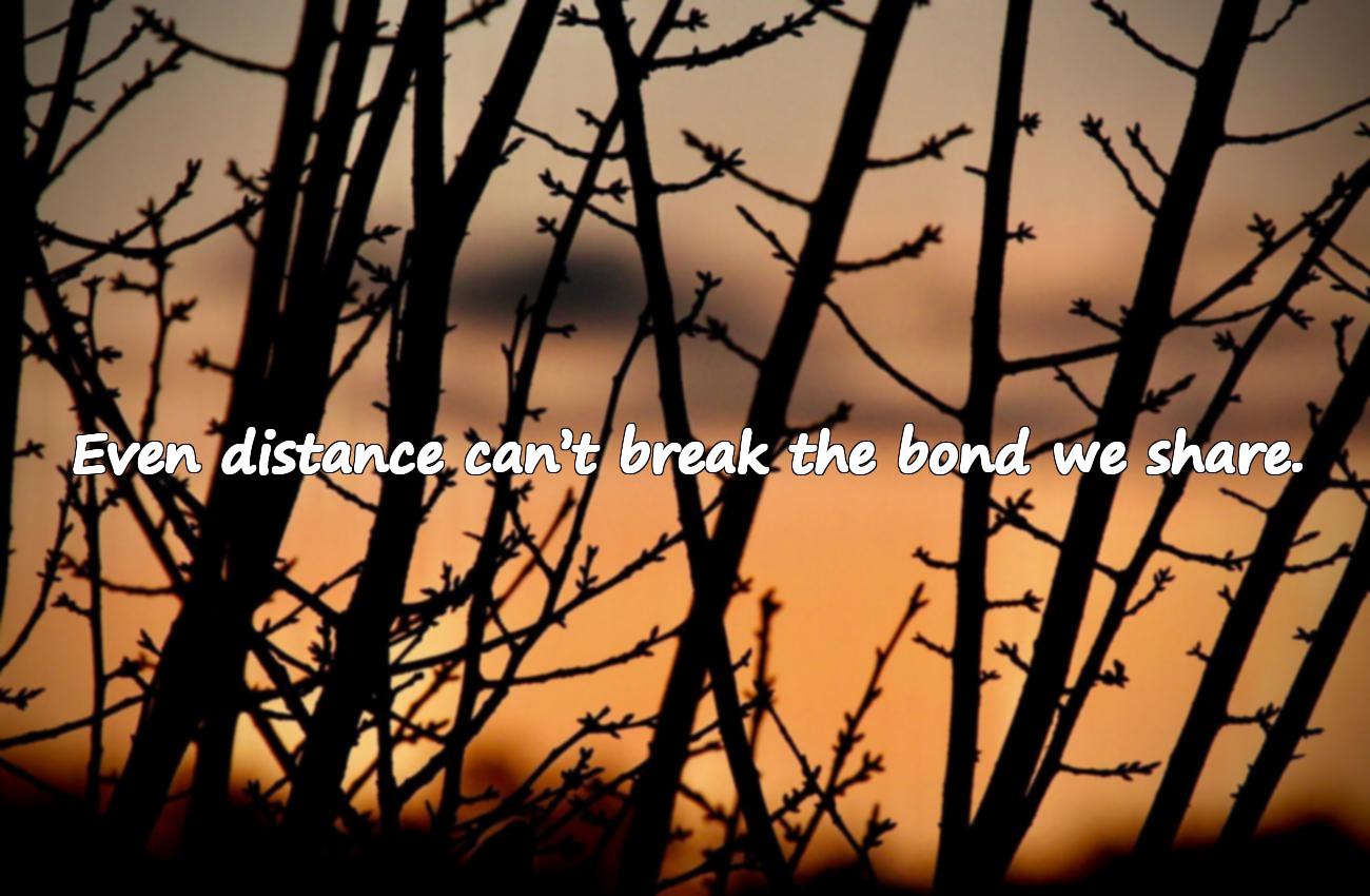 emotional friendship day quotes