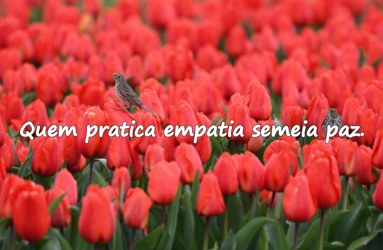 empatia frases