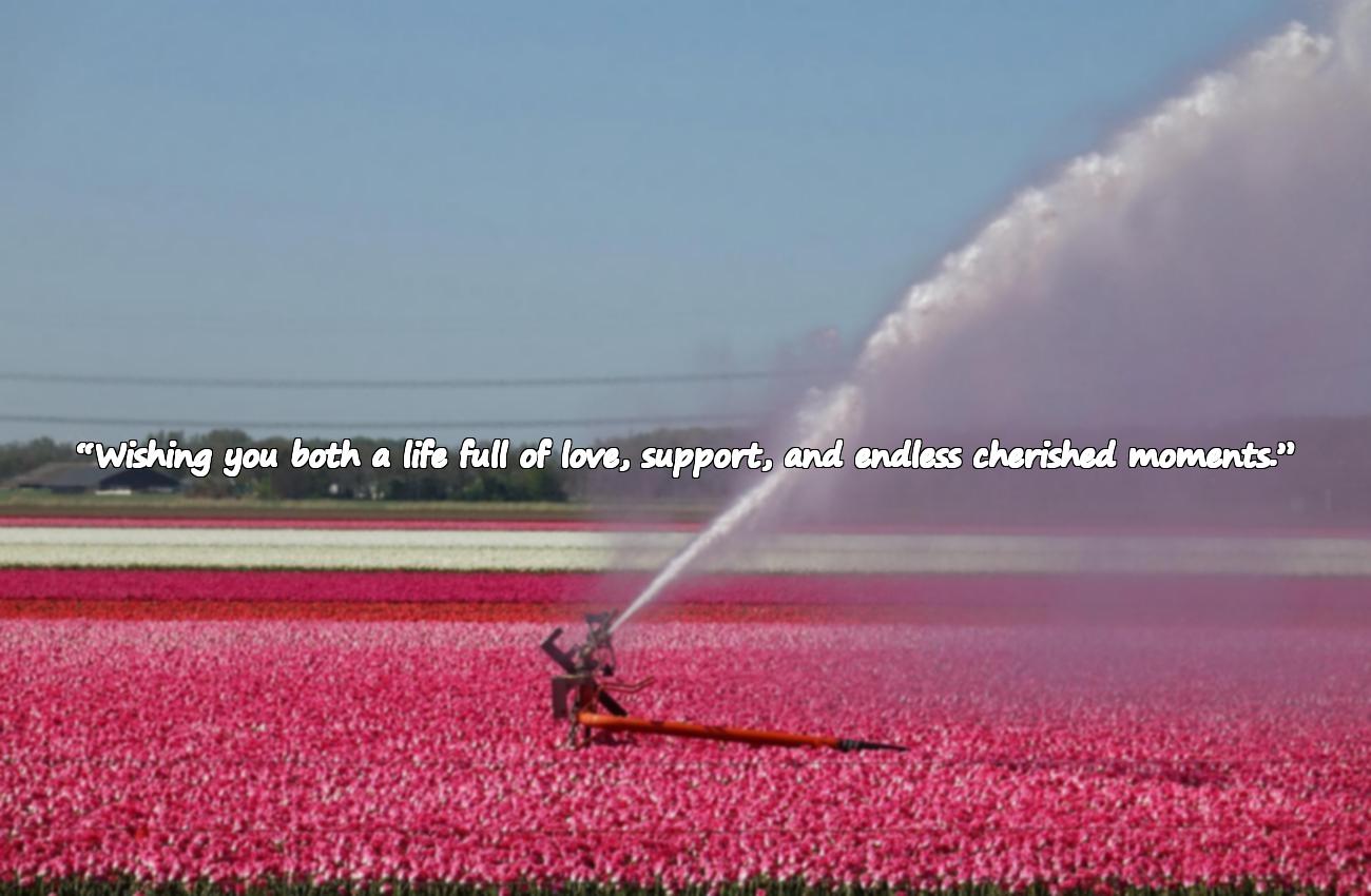 engagement greetings