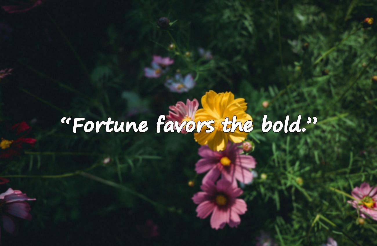 entrepreneur quotes 2026