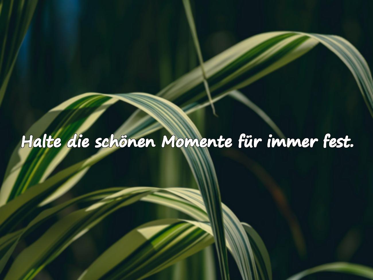 Erinnerungen Sprüche