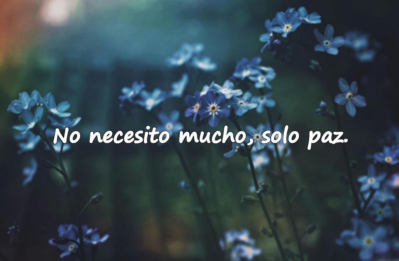 estados para whatsapp