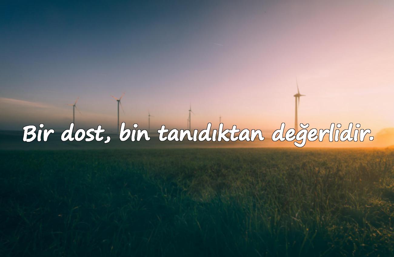 etkileyici arkadaşlık sözleri