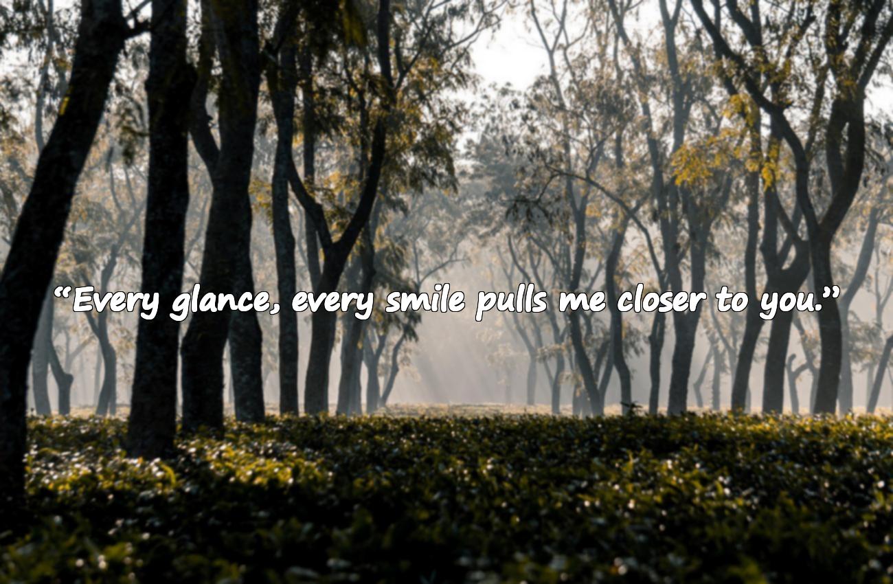 falling in love quotes