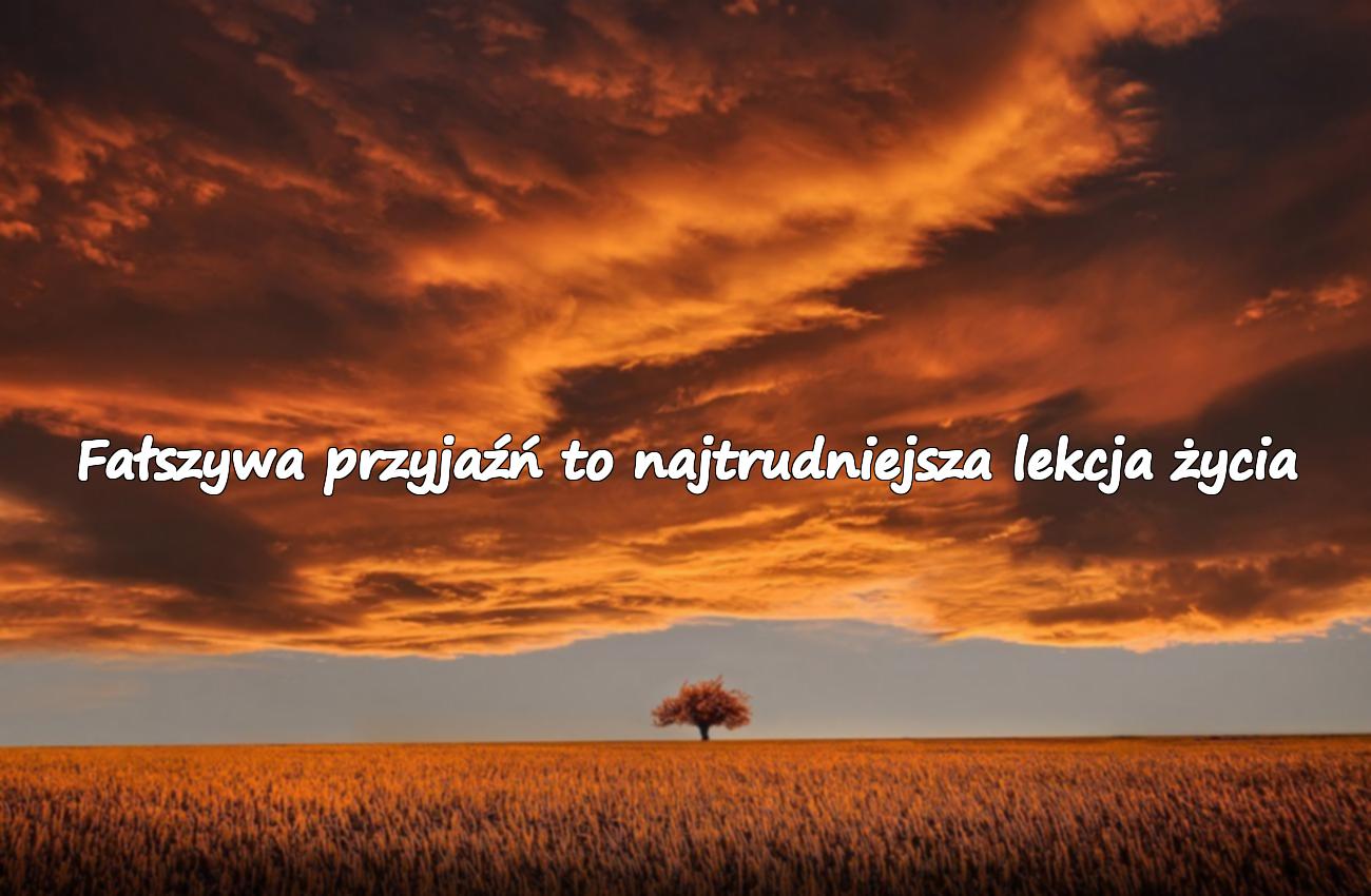 fałszywi ludzie cytaty