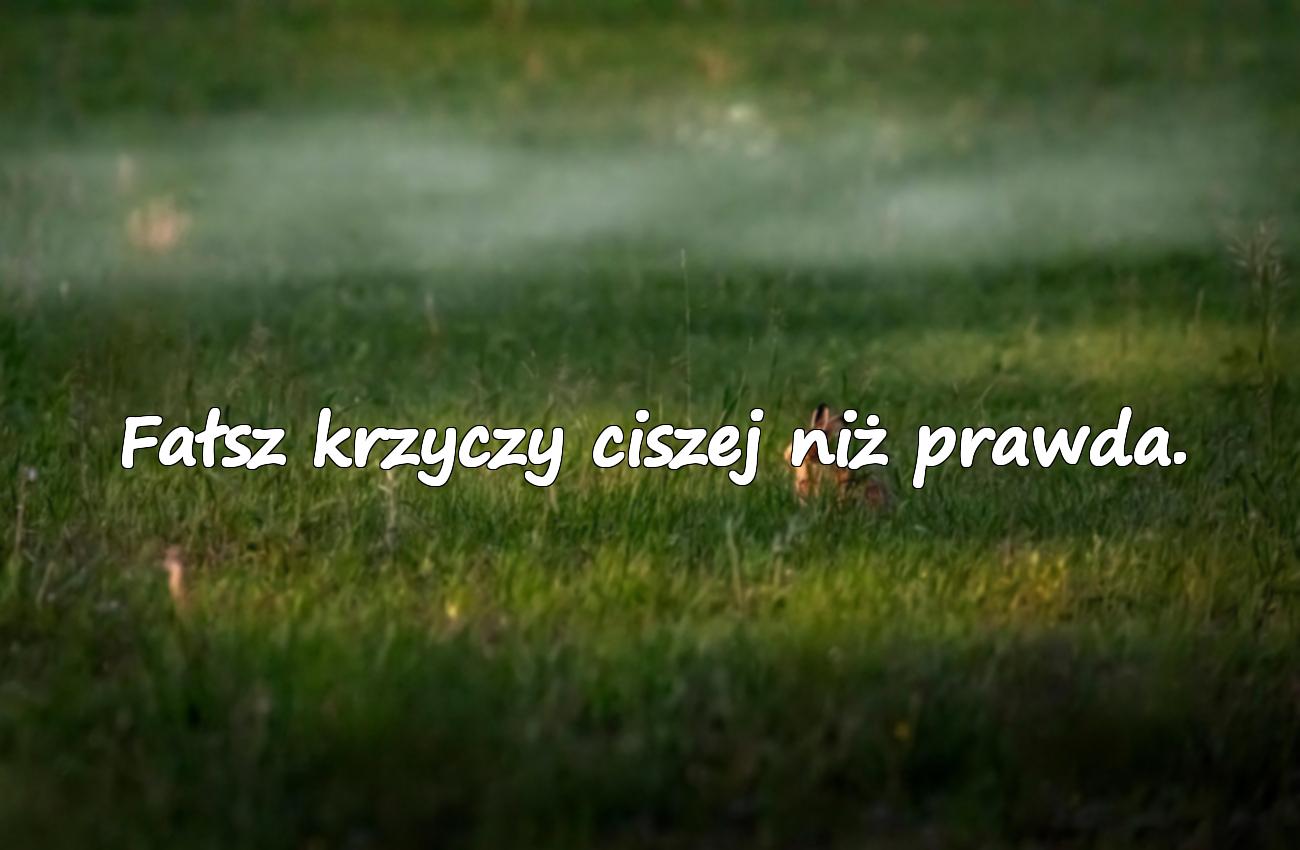 fałszywość cytaty
